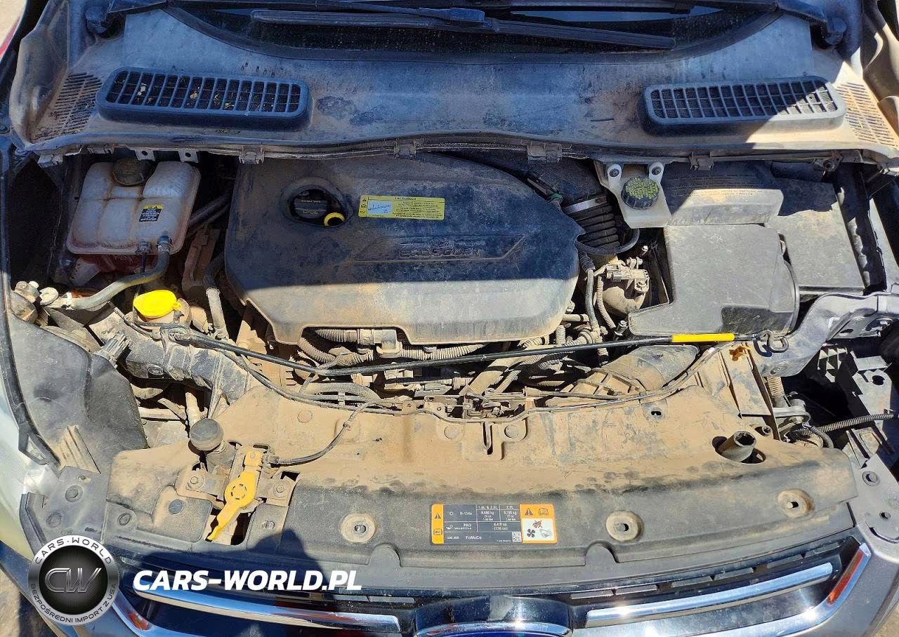 2013 Ford Escape Sel VIN:1FMCU9HX6DUC93548 - 12