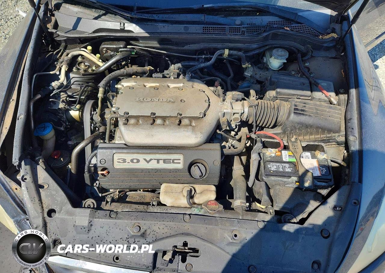 2007 Honda Accord Se VIN:1HGCM66417A049485 - 11