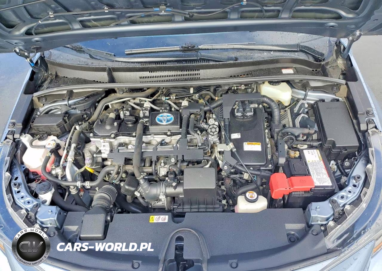 2021 Toyota Corolla Le VIN:JTDEAMDE9MJ004497 - 11