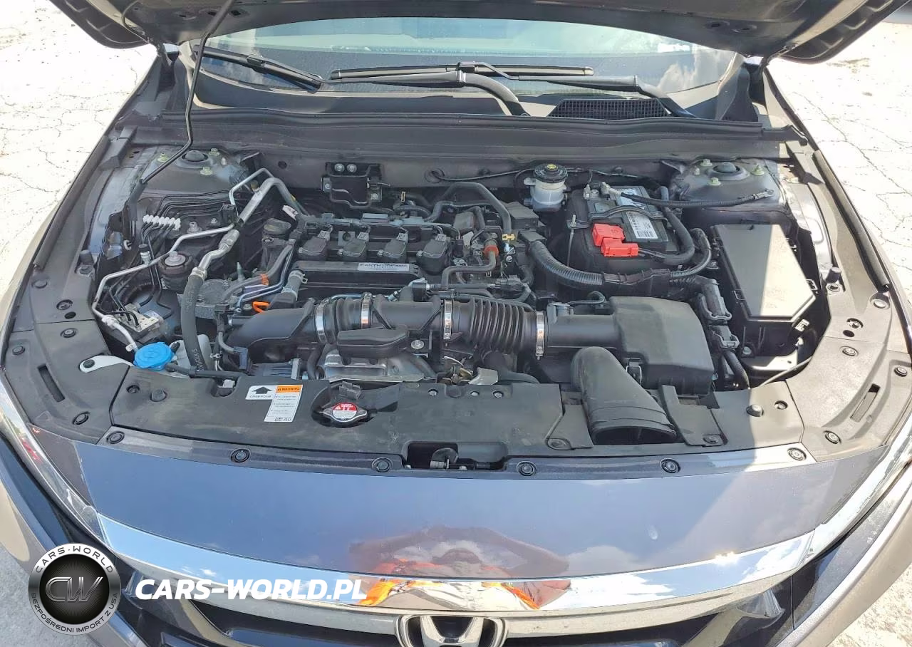 HONDA ACCORD EX VIN:1HGCV1F42LA059839 - 11