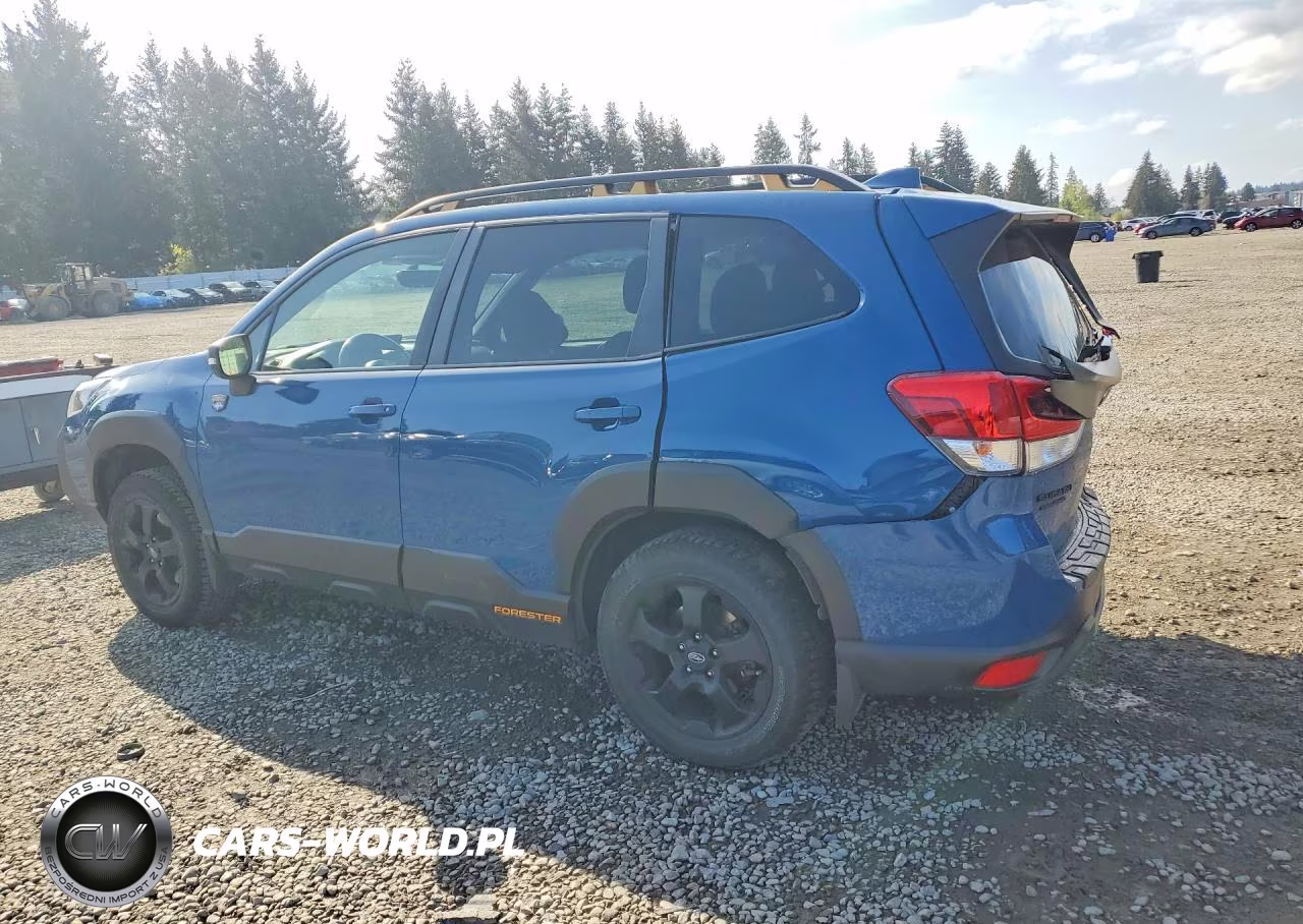 2022 Subaru Forester Wilderness VIN:JF2SKAMC7NH509400 - 2