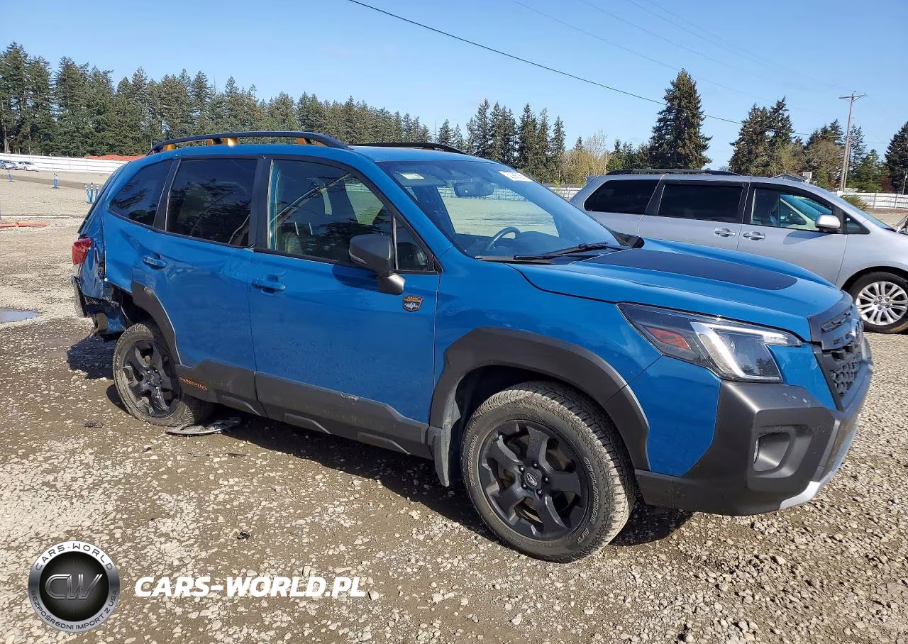 2022 Subaru Forester Wilderness VIN:JF2SKAMC7NH509400 - 4