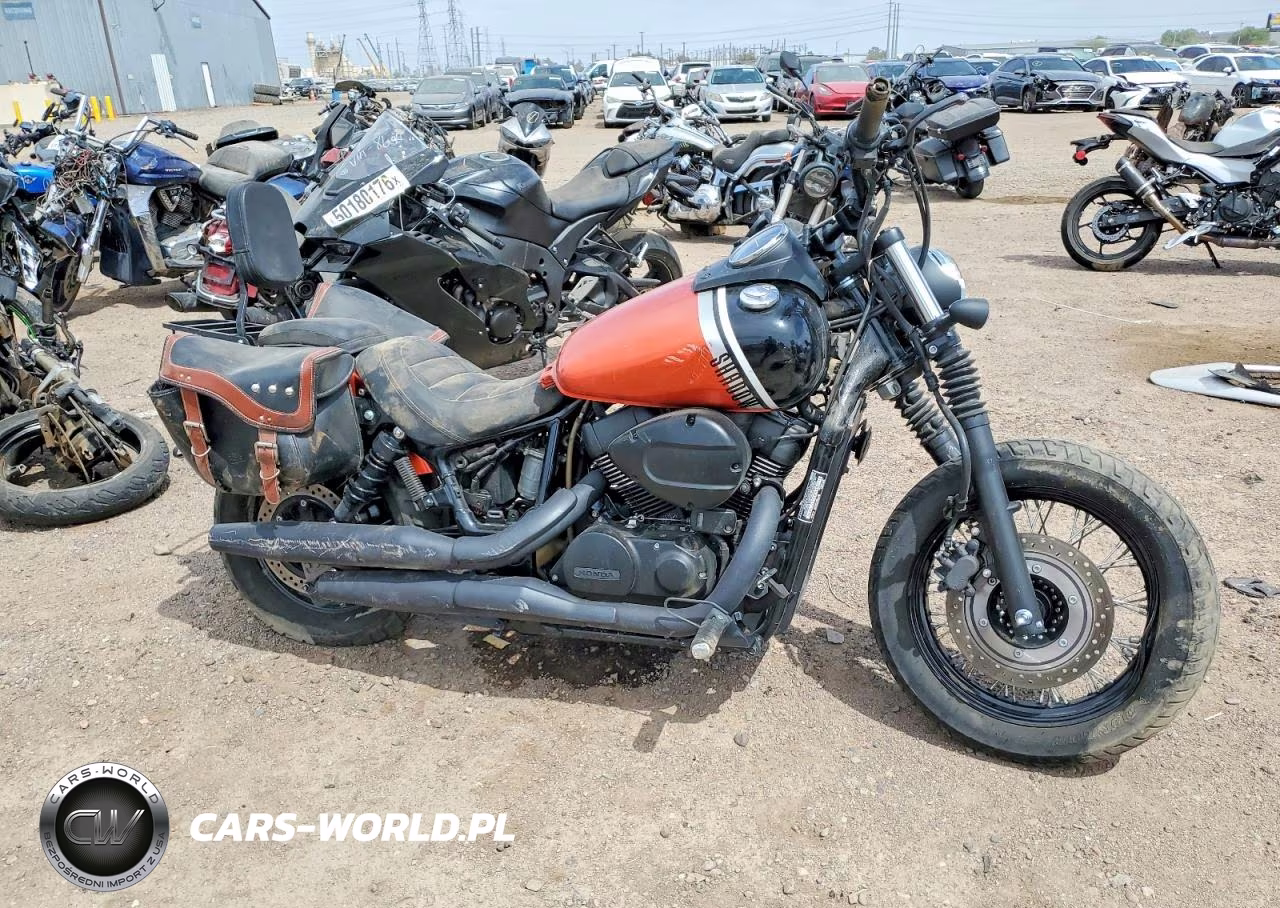 2024 Honda Vt750 C2B