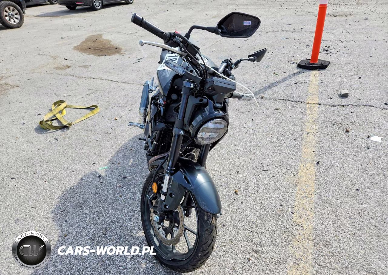 2025 Honda Cbf300 Na VIN:MLHNC5554S5500504 - 2
