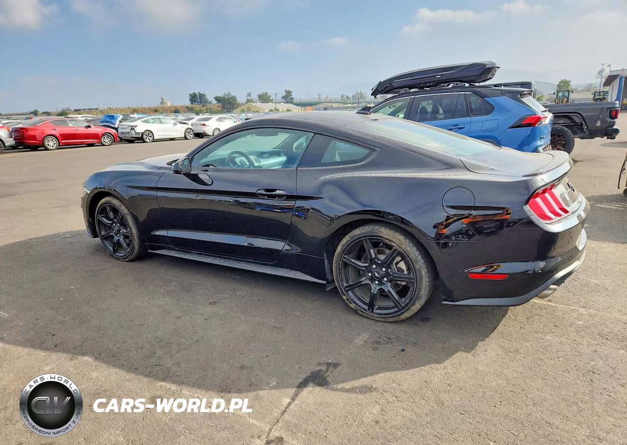 2020 Ford Mustang VIN:1FA6P8TH7L5141960 - 2