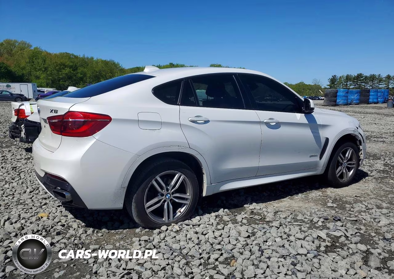 2015 BMW X6 xDrive35I VIN:5UXKU2C55F0F95390 - 3