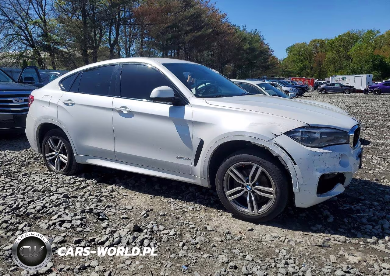 2015 BMW X6 xDrive35I VIN:5UXKU2C55F0F95390 - 4