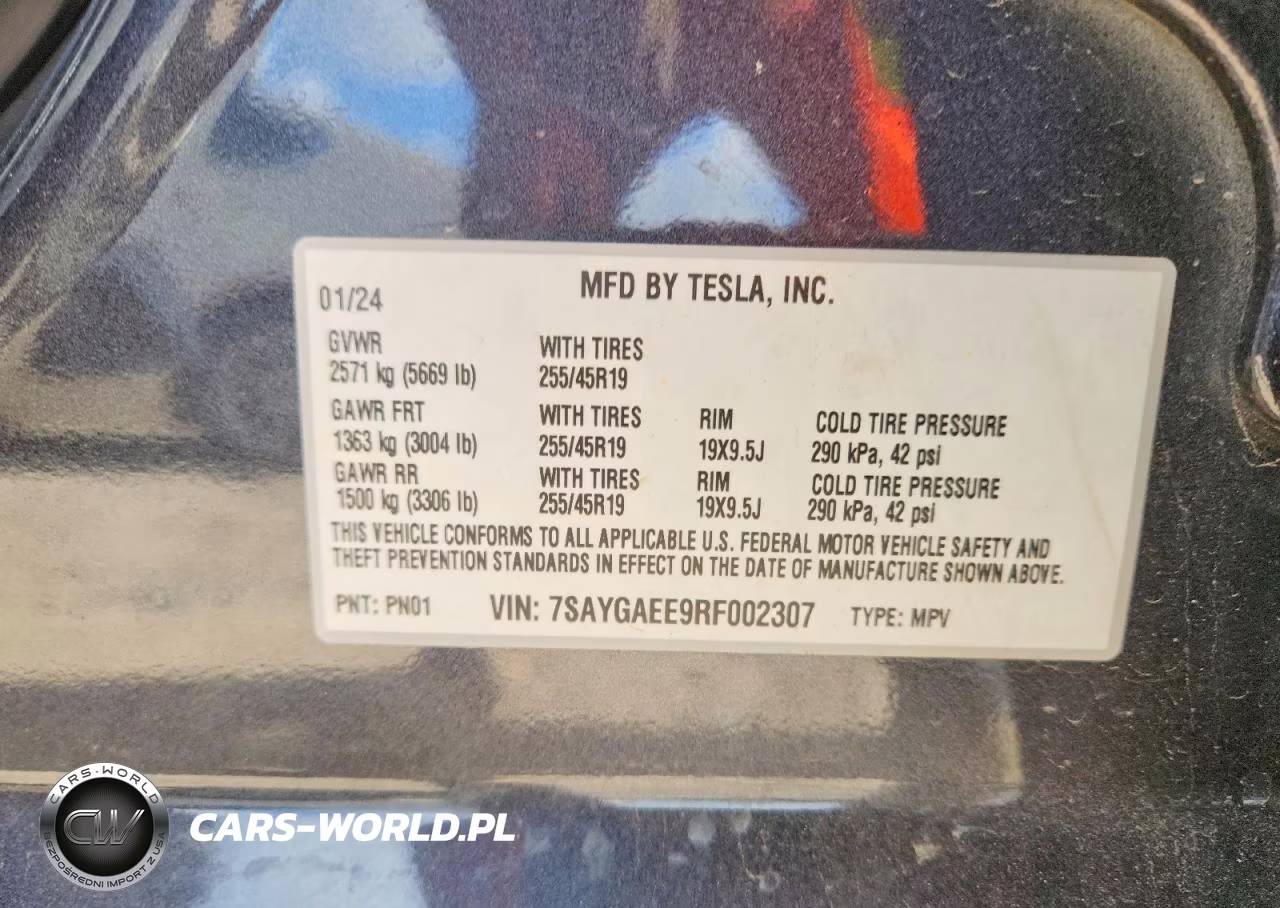 2024 Tesla Model Y VIN:7SAYGAEE9RF002307 - 12
