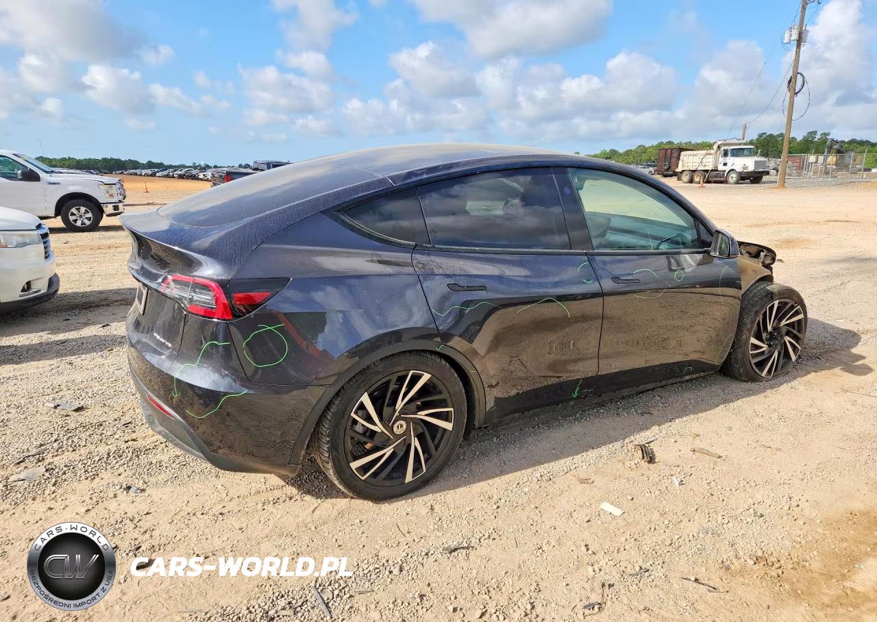 2024 Tesla Model Y VIN:7SAYGAEE9RF002307 - 3