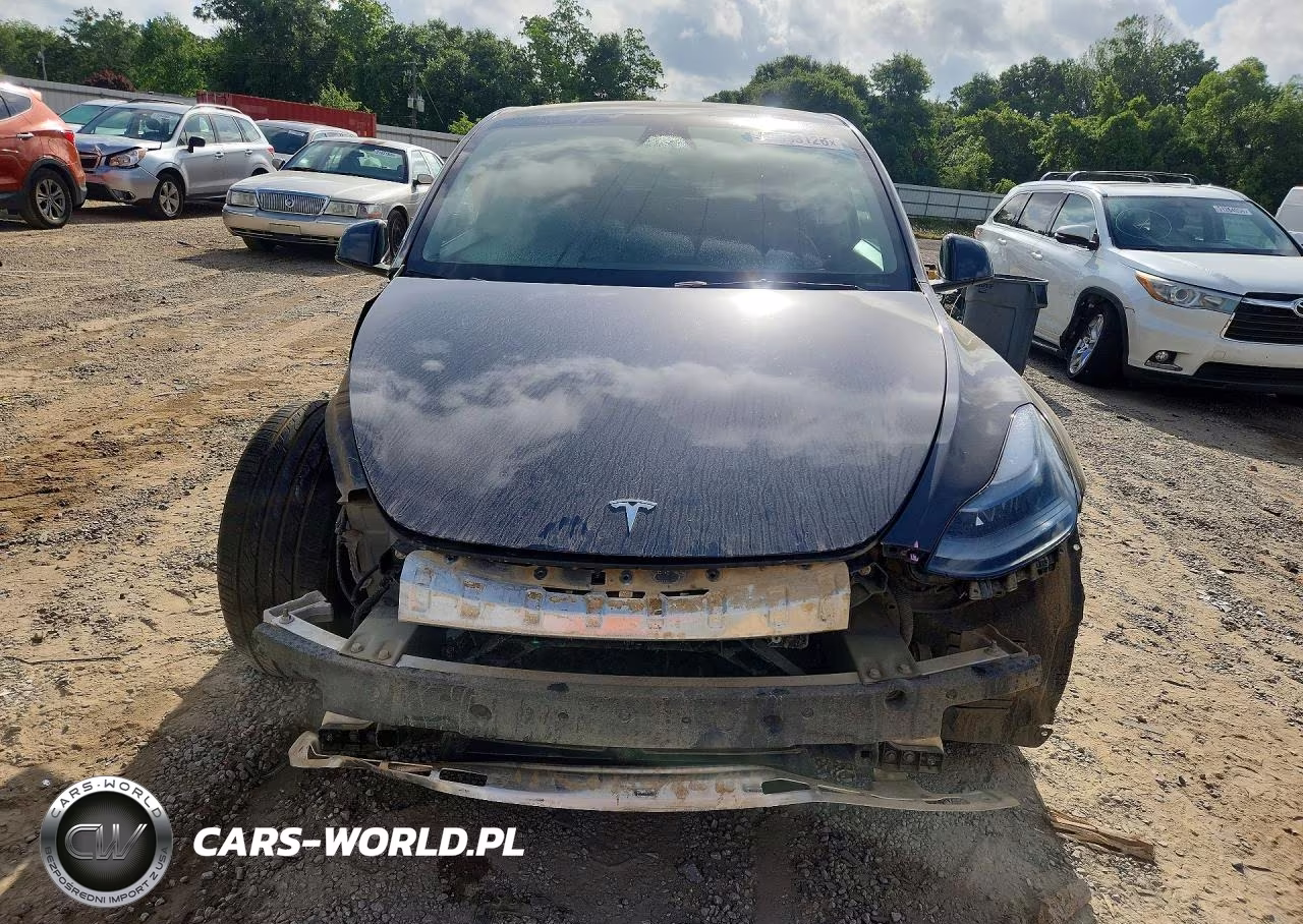 2024 Tesla Model Y VIN:7SAYGAEE9RF002307 - 5
