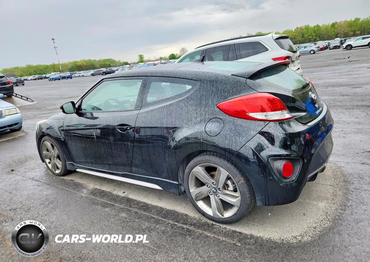 2013 Hyundai Veloster Turbo VIN:KMHTC6AE3DU083077 - 2