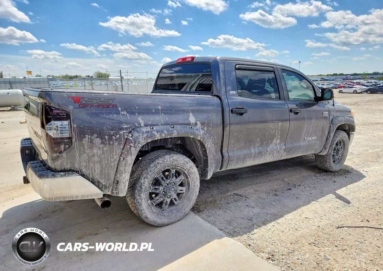 2016 Toyota Tundra Sr5 VIN:5TFDW5F12GX499401 - 3