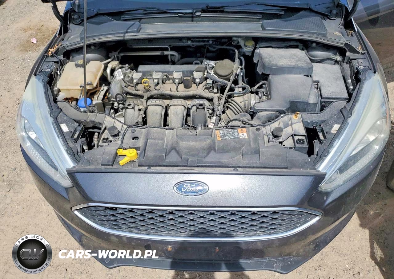 2016 Ford Focus Se VIN:1FADP3K25GL260213 - 12
