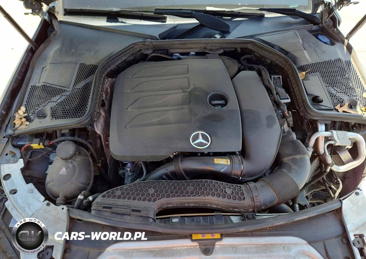 2020 Mercedes-Benz C 300 VIN:W1KWF8DB6LR570545 - 11