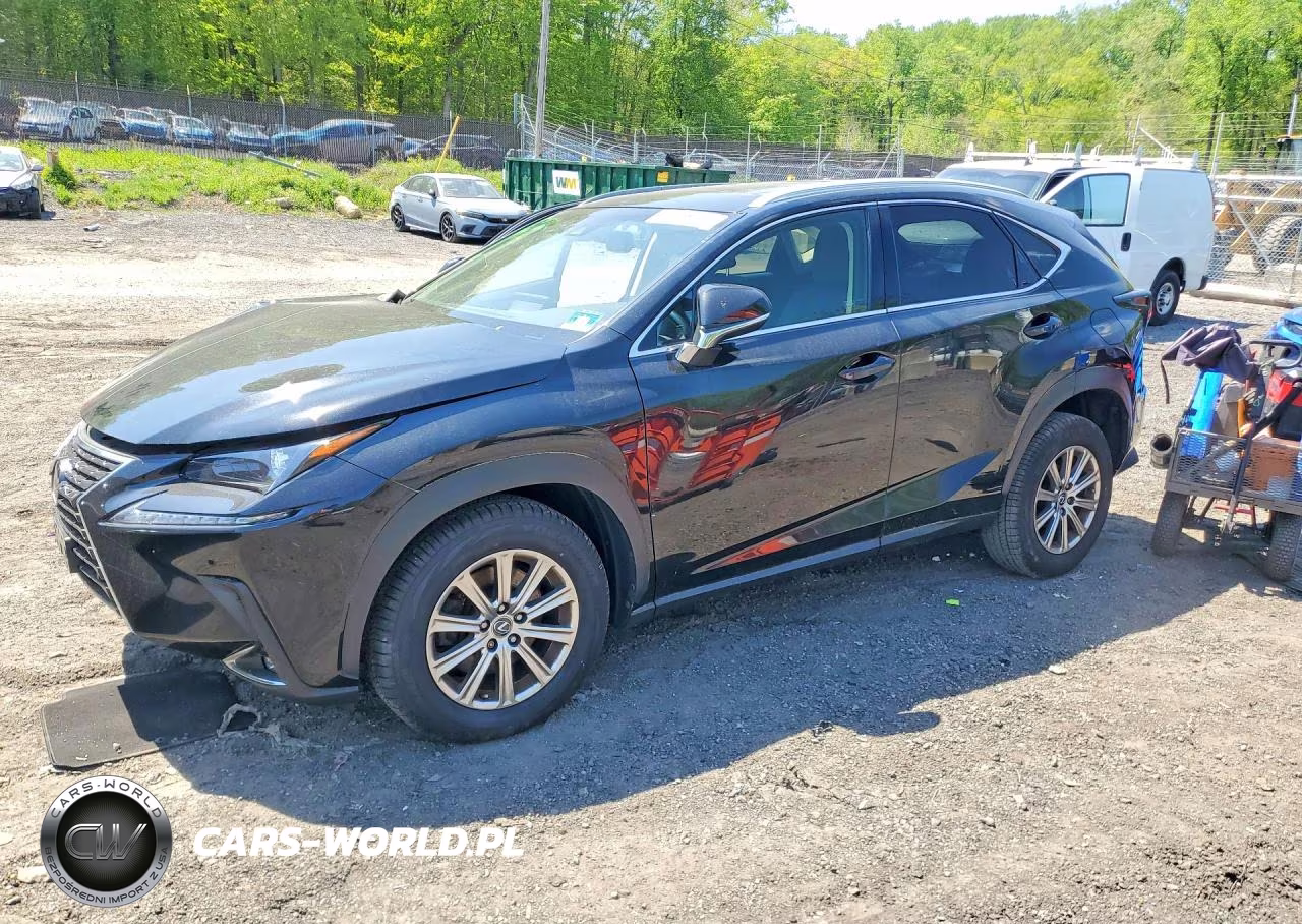 2019 Lexus Nx 300 Base