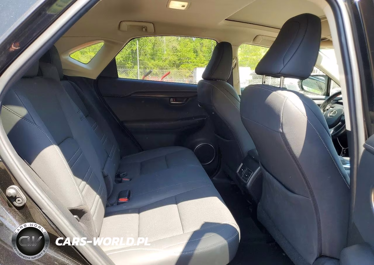 2019 Lexus Nx 300 Base VIN:JTJBARBZ5K2187620 - 10