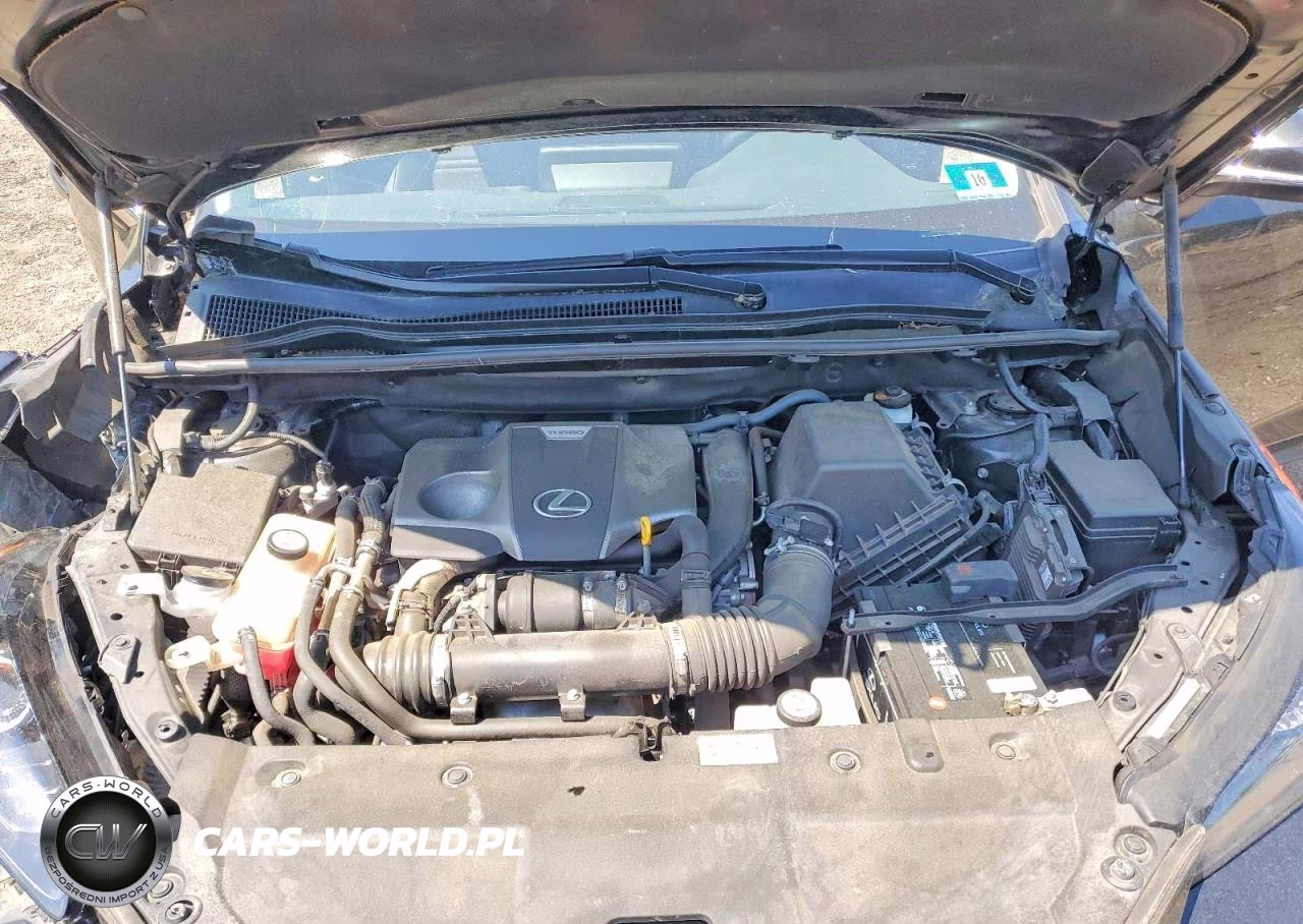 2019 Lexus Nx 300 Base VIN:JTJBARBZ5K2187620 - 11