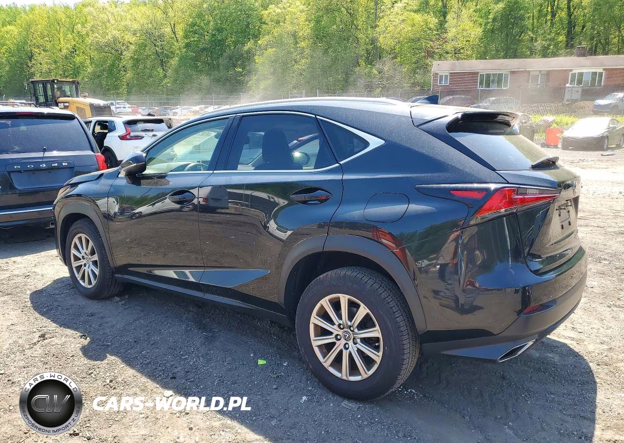 2019 Lexus Nx 300 Base VIN:JTJBARBZ5K2187620 - 2