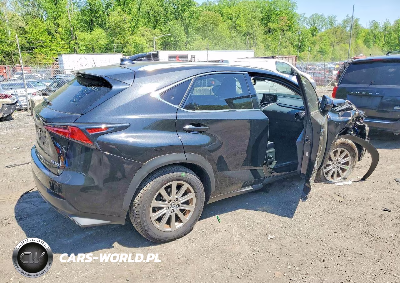 2019 Lexus Nx 300 Base VIN:JTJBARBZ5K2187620 - 3