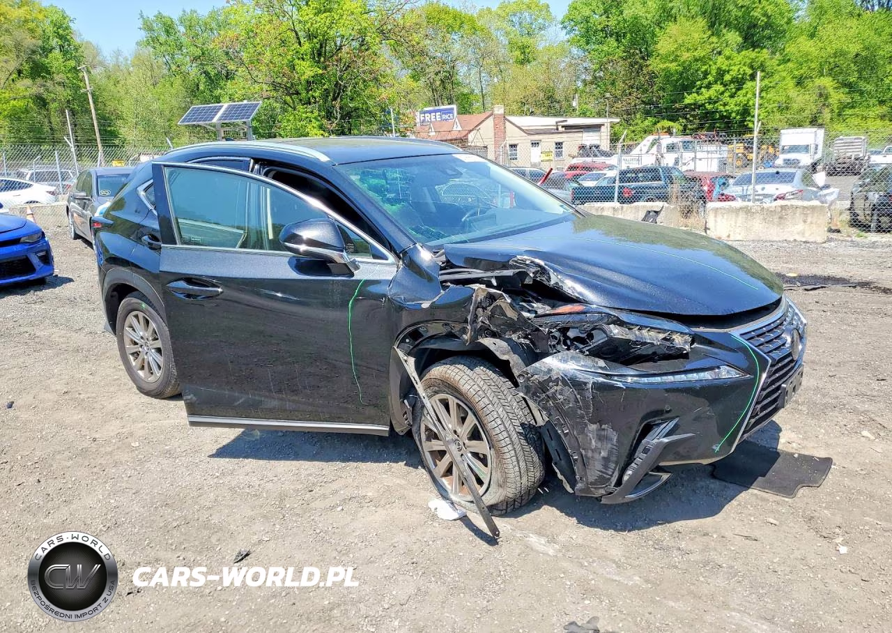 2019 Lexus Nx 300 Base VIN:JTJBARBZ5K2187620 - 4