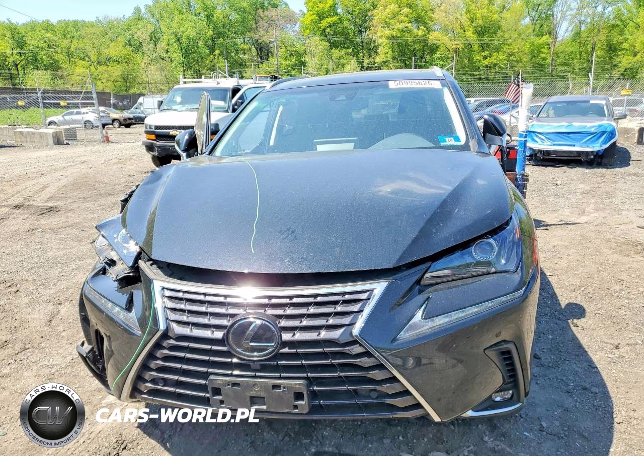 2019 Lexus Nx 300 Base VIN:JTJBARBZ5K2187620 - 5