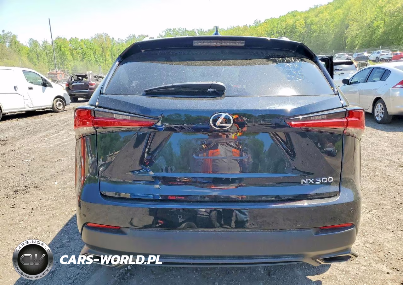 2019 Lexus Nx 300 Base VIN:JTJBARBZ5K2187620 - 6