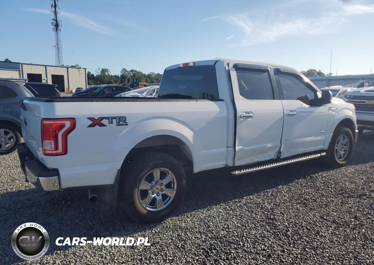2016 Ford F150 Supercrew VIN:1FTFW1EG2GFB87334 - 3