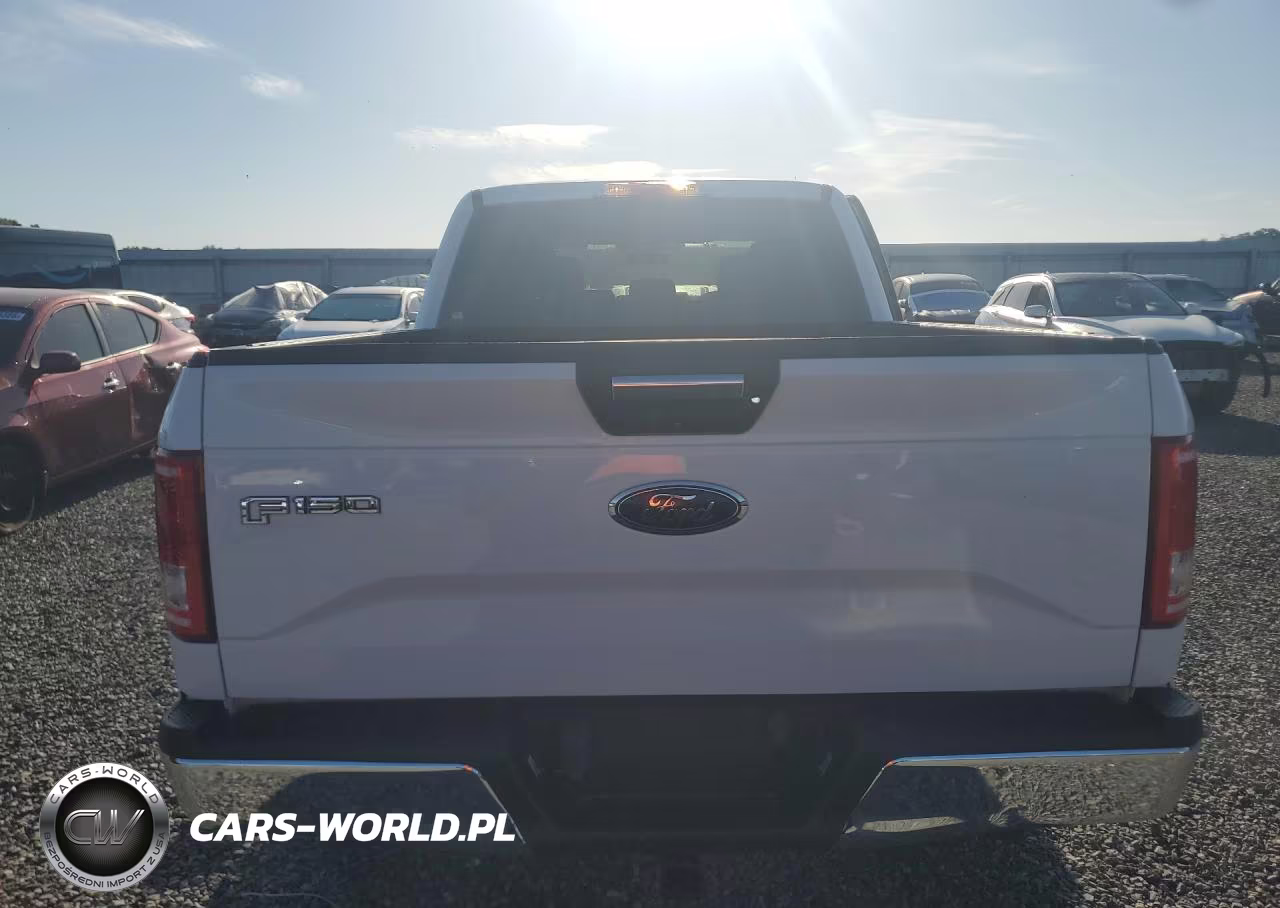 2016 Ford F150 Supercrew VIN:1FTFW1EG2GFB87334 - 6