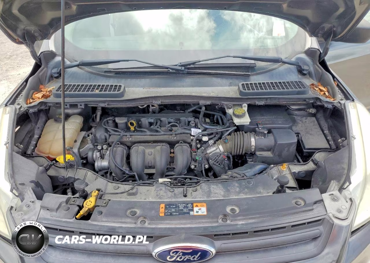 2015 Ford Escape S VIN:1FMCU0F78FUB88818 - 12