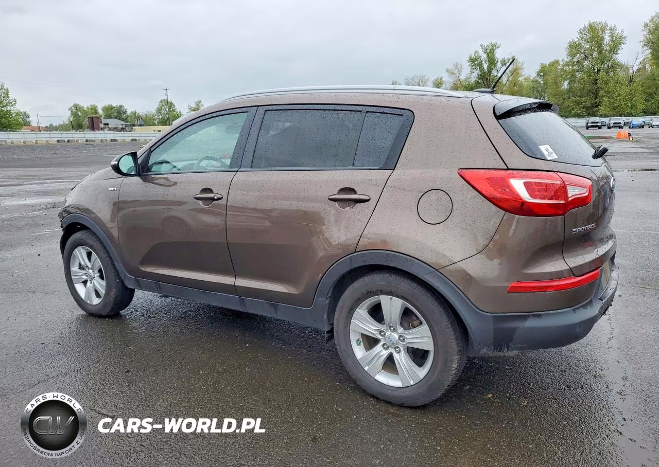2011 Kia Sportage VIN:KNDPBCA23B7161771 - 2