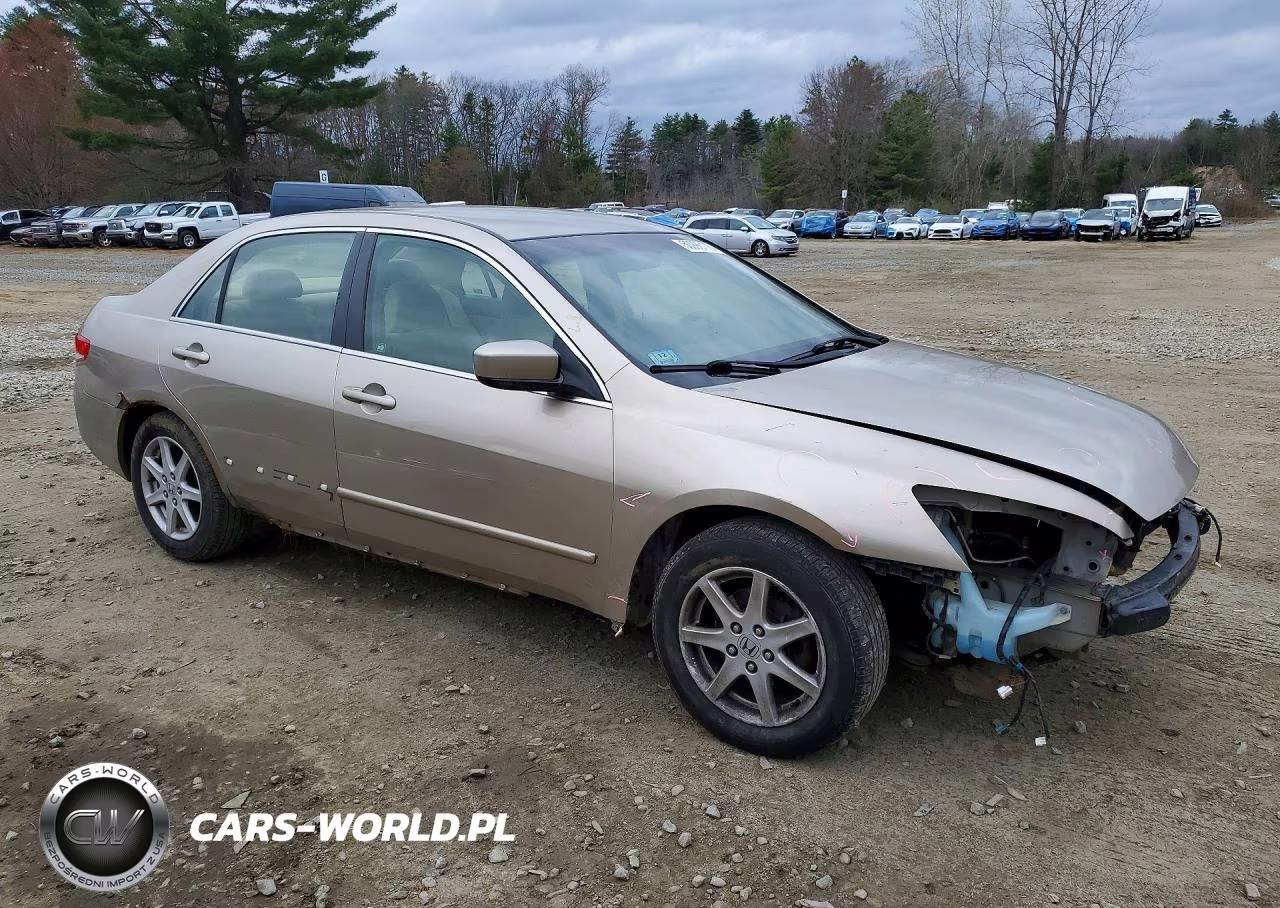 2003 Honda Accord Lx VIN:JHMCM56363C031710 - 4