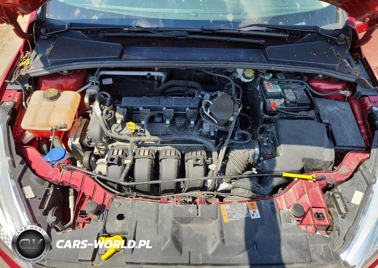 2016 Ford Focus Se VIN:1FADP3K28GL254003 - 11