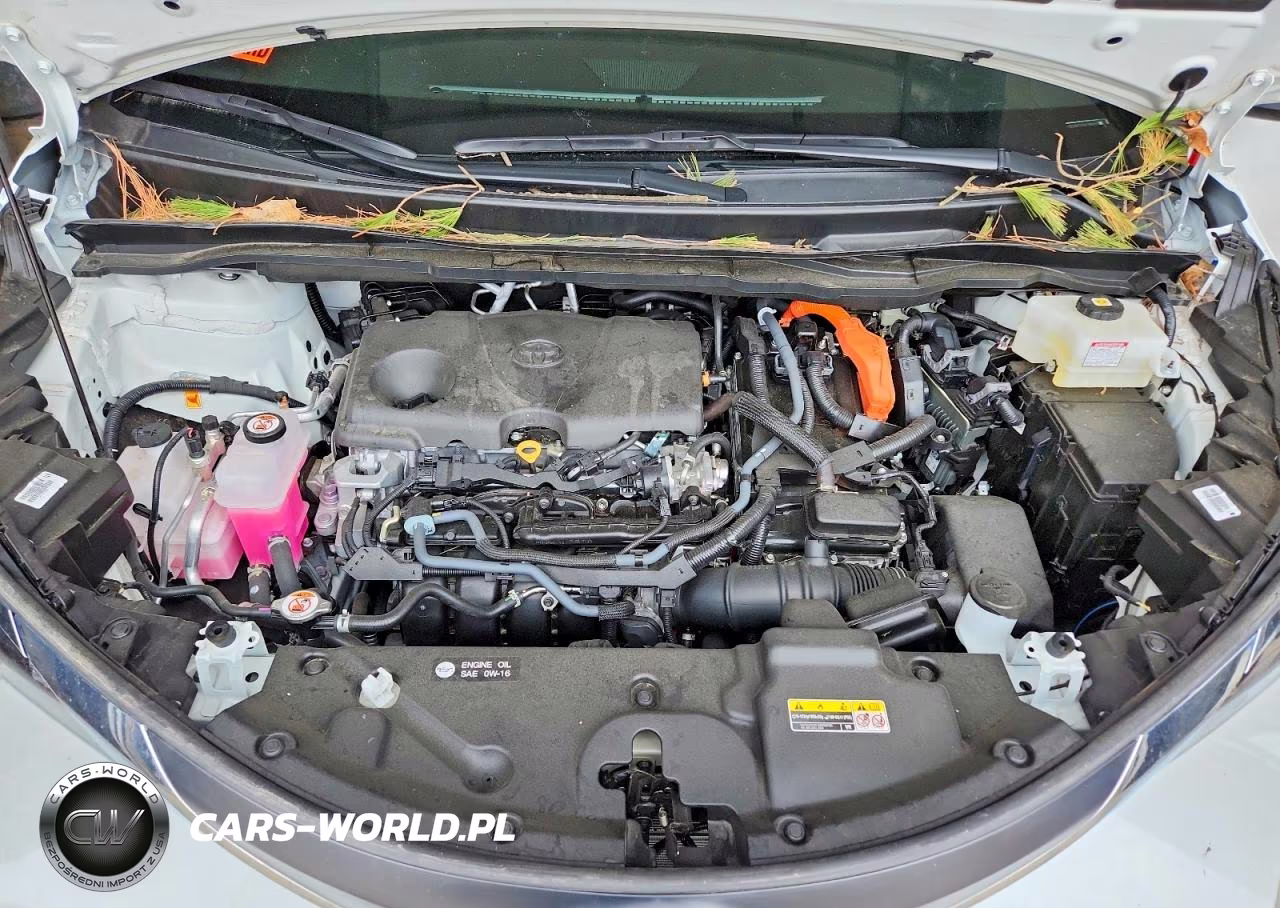 2025 Toyota Sienna Xle 7-Passenger VIN:5TDJSKFC1SS189897 - 12