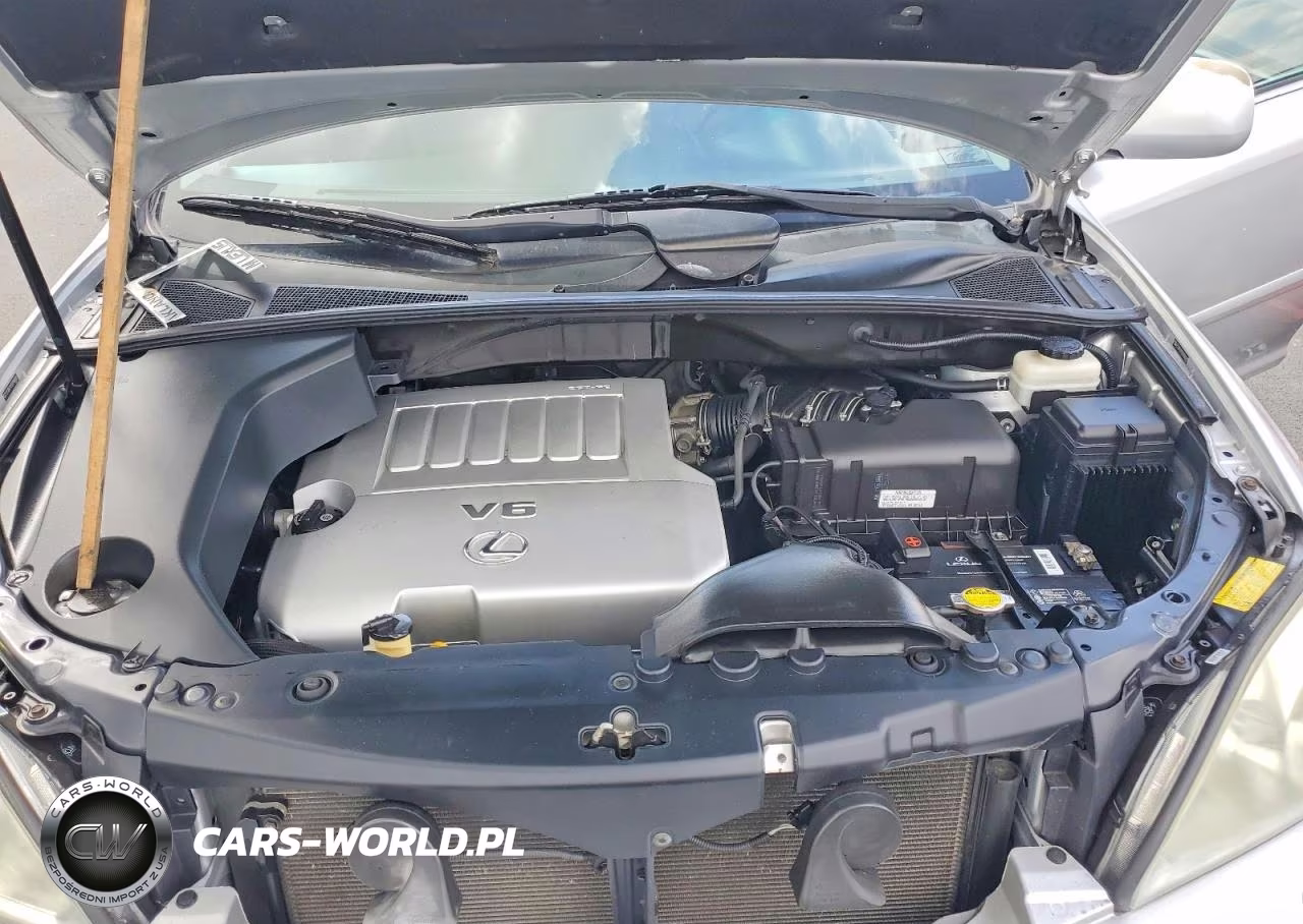 2009 Lexus Rx 350 VIN:2T2GK31U59C068062 - 12