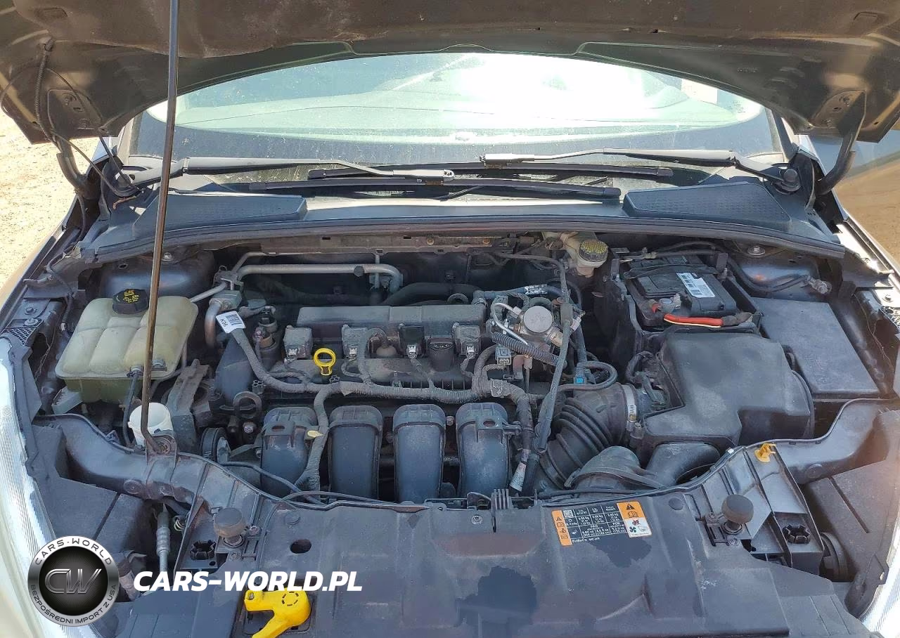 2016 Ford Focus Se VIN:1FADP3F20GL350699 - 11
