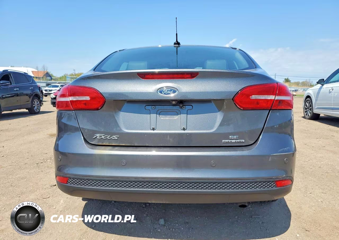 2016 Ford Focus Se VIN:1FADP3F20GL350699 - 6