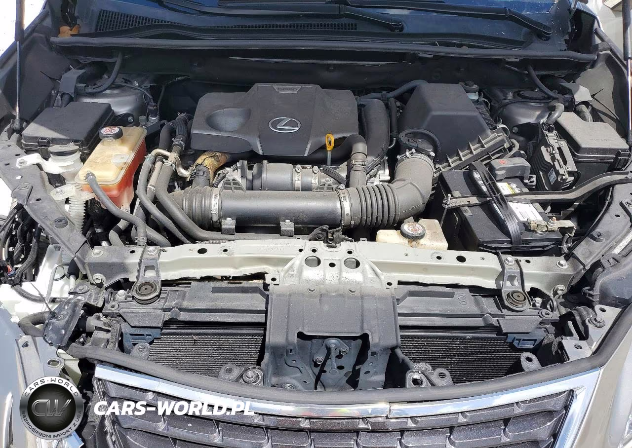 2019 Lexus Nx 300 Base VIN:JTJYARBZ3K2134182 - 11