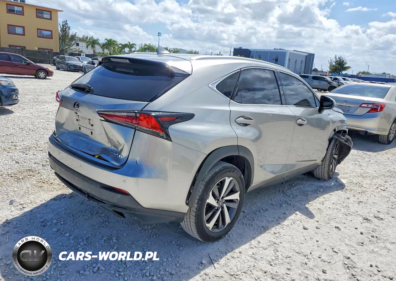 2019 Lexus Nx 300 Base VIN:JTJYARBZ3K2134182 - 3