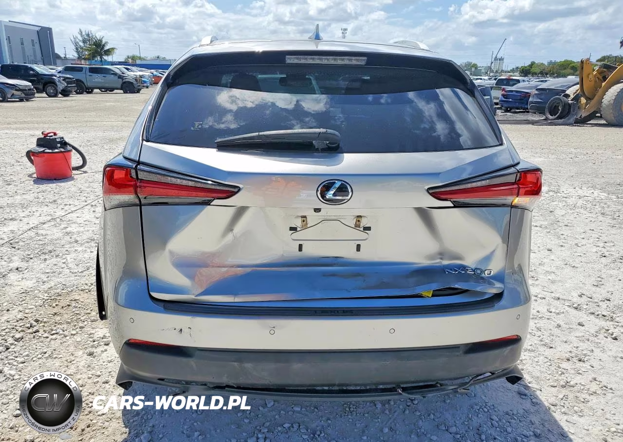 2019 Lexus Nx 300 Base VIN:JTJYARBZ3K2134182 - 6