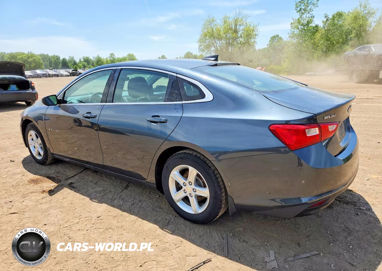 2019 Chevrolet Malibu Ls VIN:1G1ZB5ST1KF185920 - 2