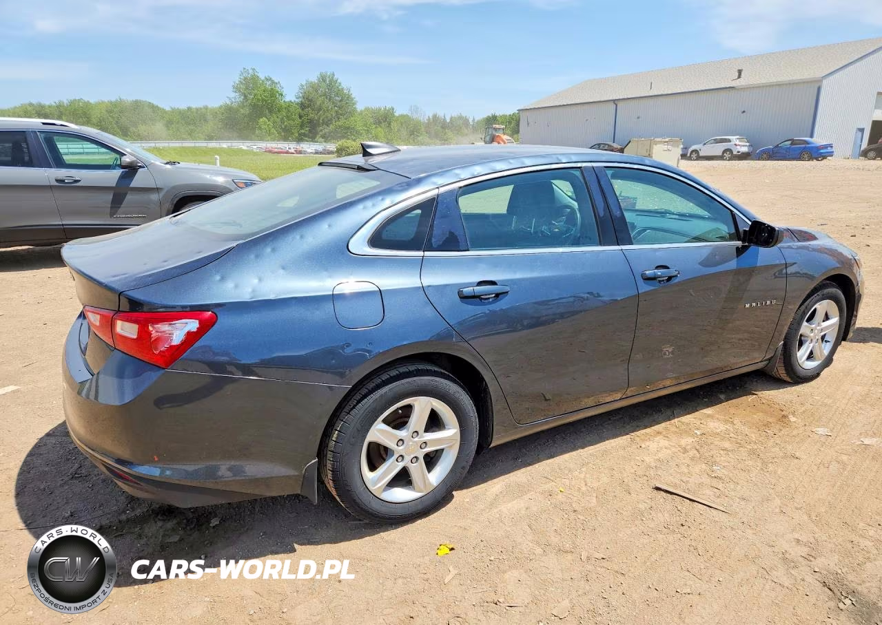 2019 Chevrolet Malibu Ls VIN:1G1ZB5ST1KF185920 - 3