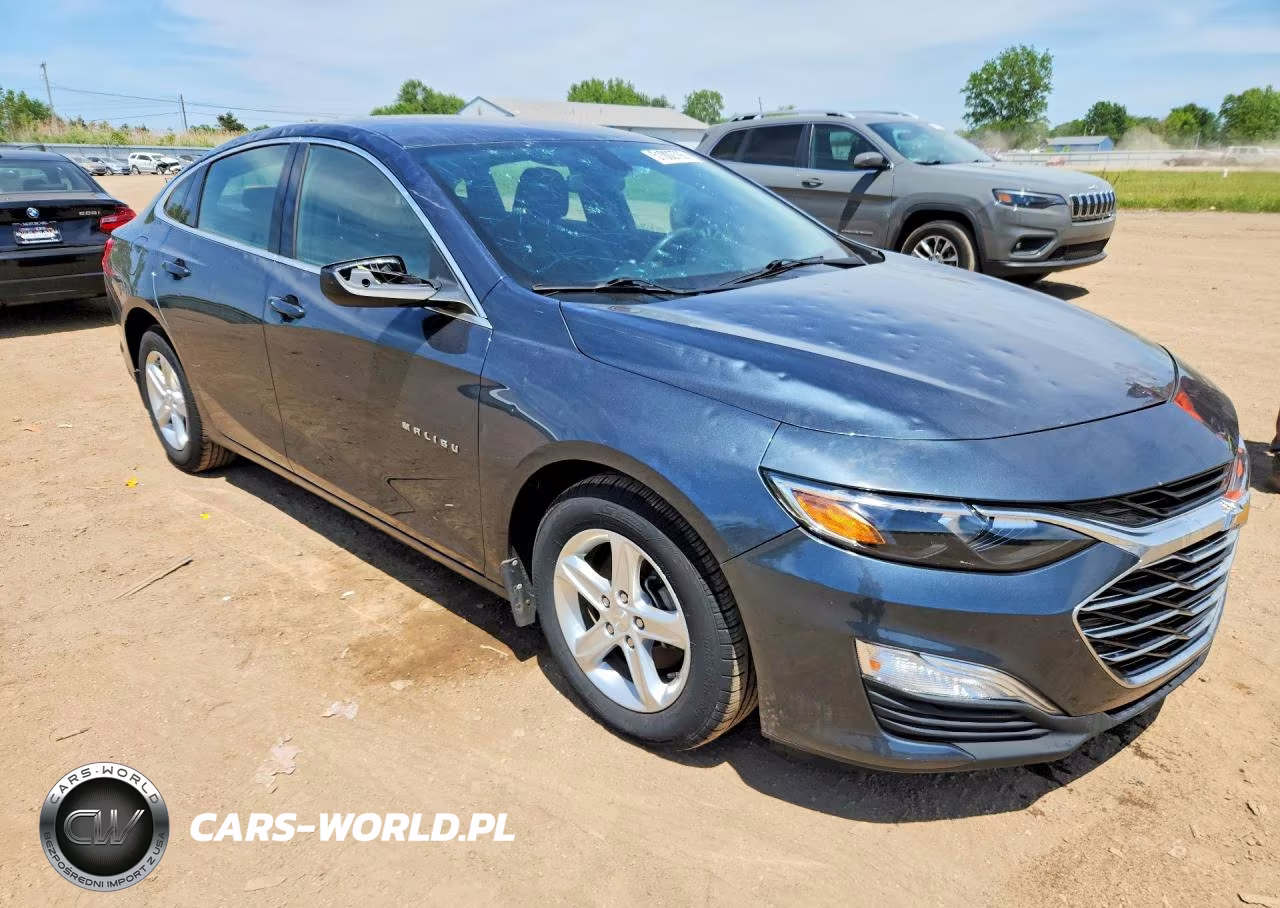 2019 Chevrolet Malibu Ls VIN:1G1ZB5ST1KF185920 - 4