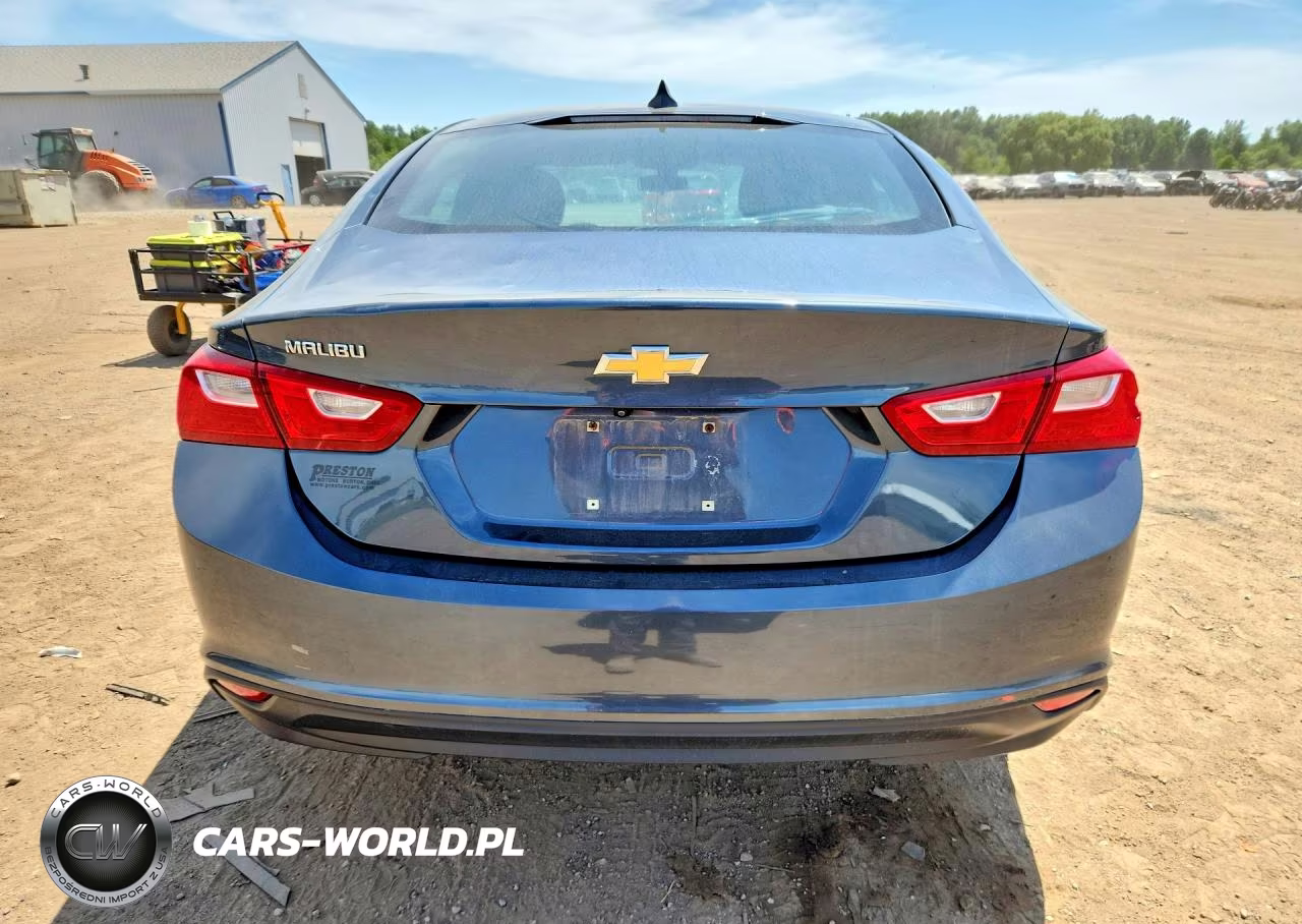 2019 Chevrolet Malibu Ls VIN:1G1ZB5ST1KF185920 - 6