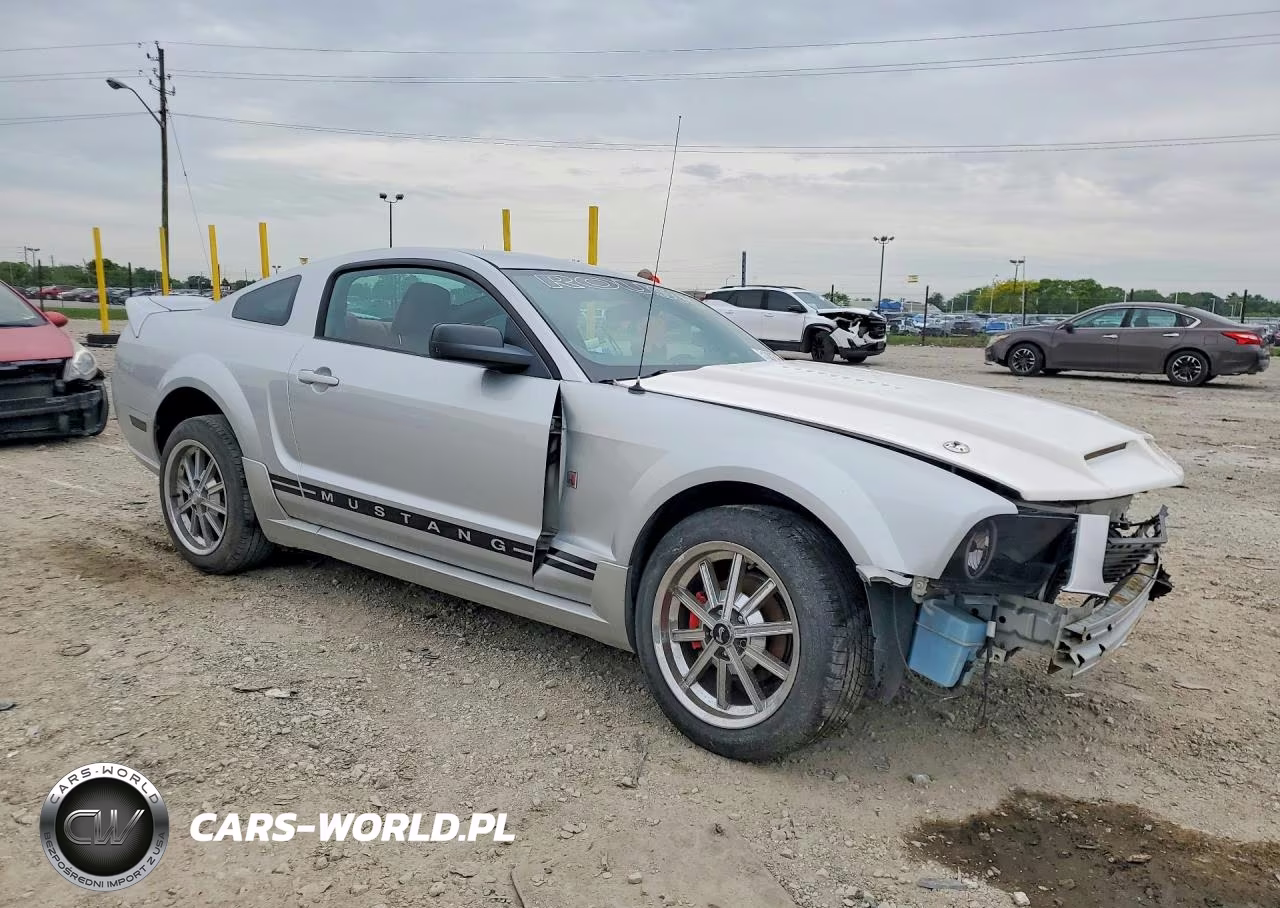 2005 Ford Mustang VIN:1ZVFT80NX55100951 - 4