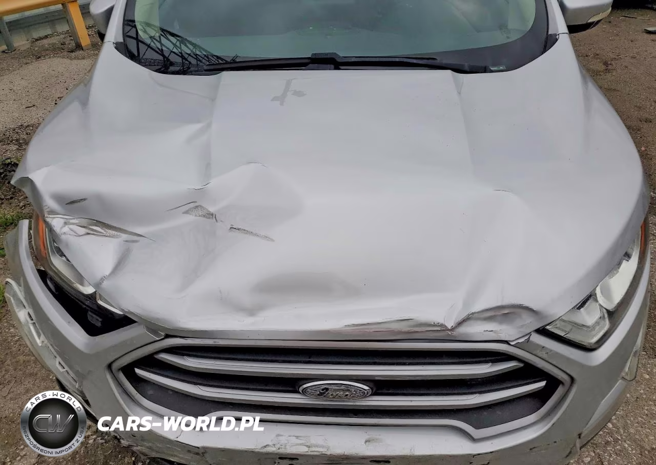 2020 Ford Ecosport Se VIN:MAJ6S3GL7LC344973 - 12