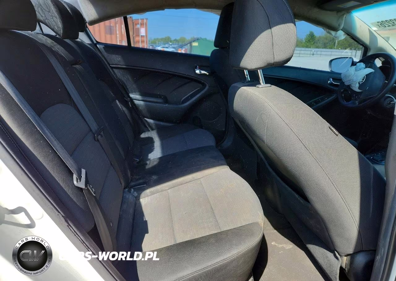 2014 Kia Forte Lx VIN:KNAFX4A66E5206978 - 10