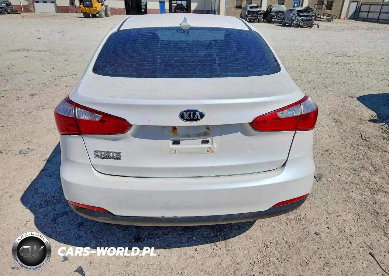 2014 Kia Forte Lx VIN:KNAFX4A66E5206978 - 6