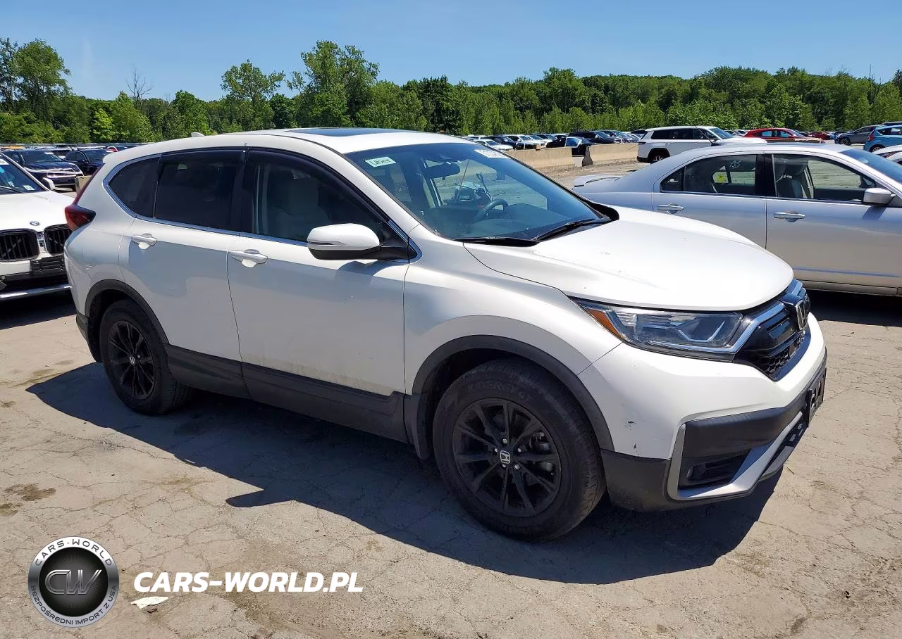 2020 Honda Cr-V Ex VIN:5J6RW2H51LL009580 - 4