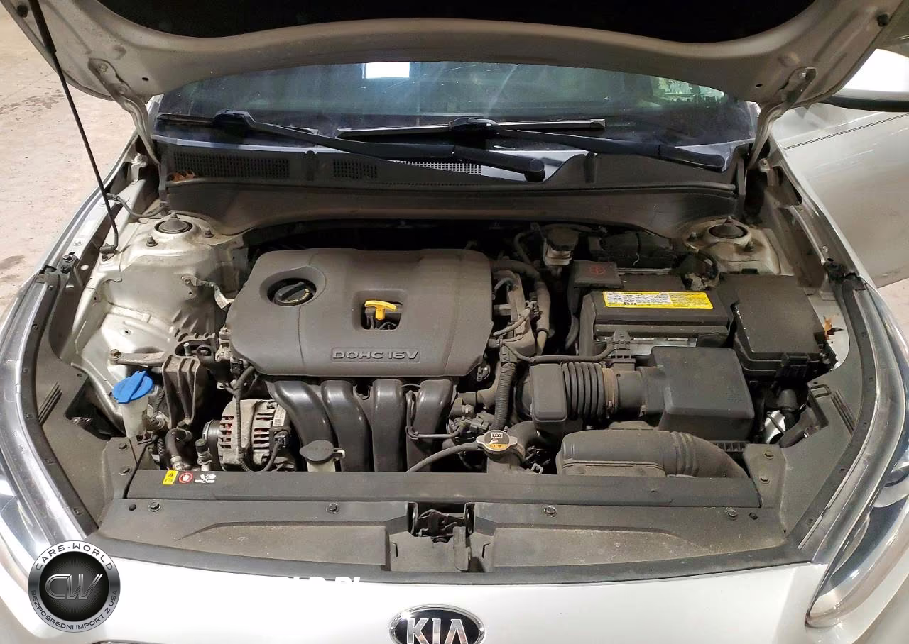 2019 Kia Forte S VIN:3KPF34ADXKE016436 - 11