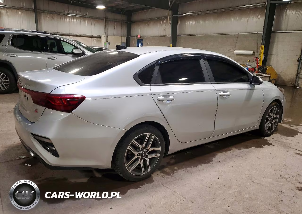 2019 Kia Forte S VIN:3KPF34ADXKE016436 - 3